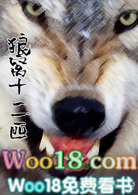 狼窝沟村