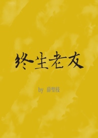 终生老友by薛圣枝完结了吗